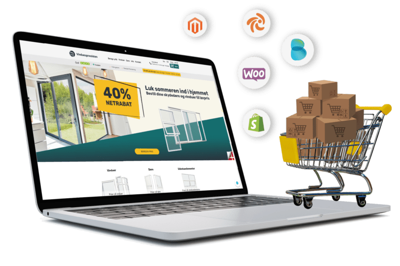 Web Design Illustration