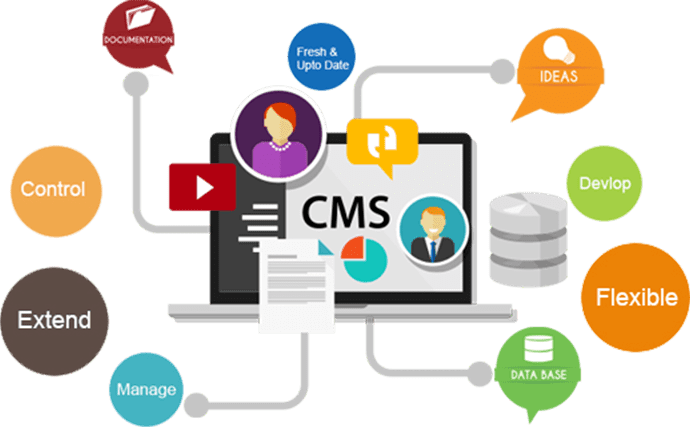 Web Design Illustration